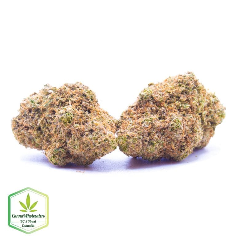 Budget Oz – Bangi Haze