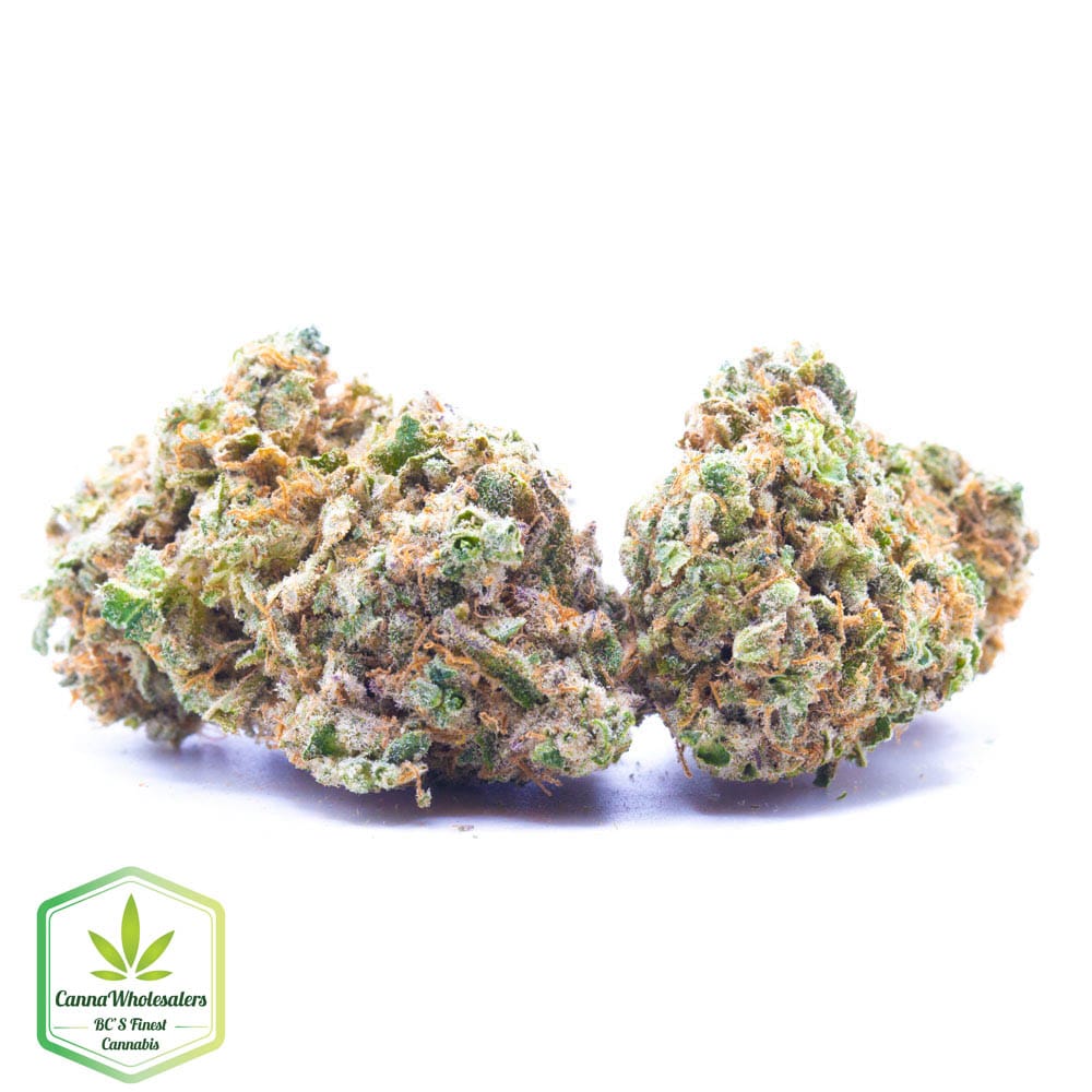 Budget Oz – Jawa Pie