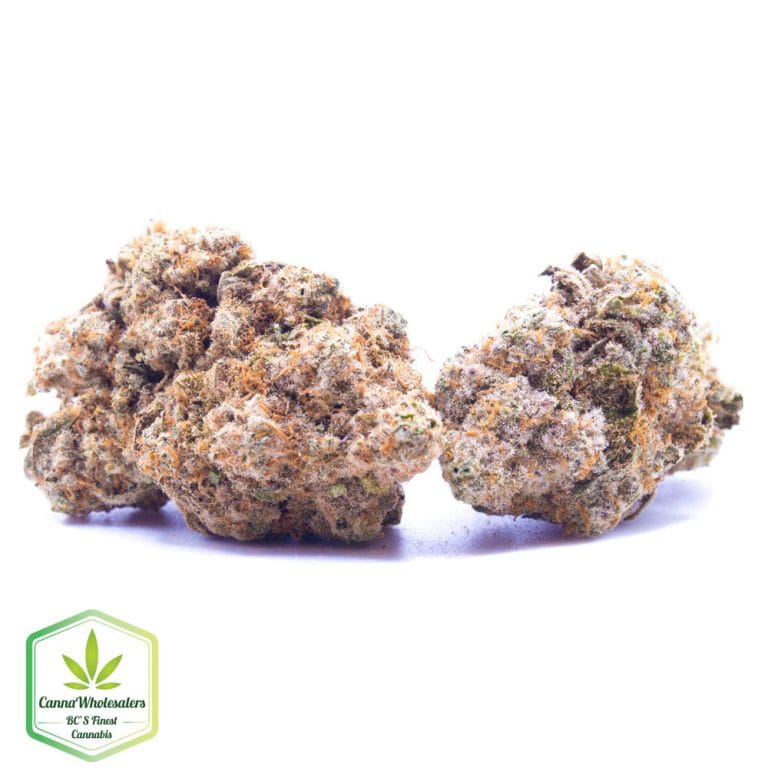 Budget Oz – Rainbow Lava