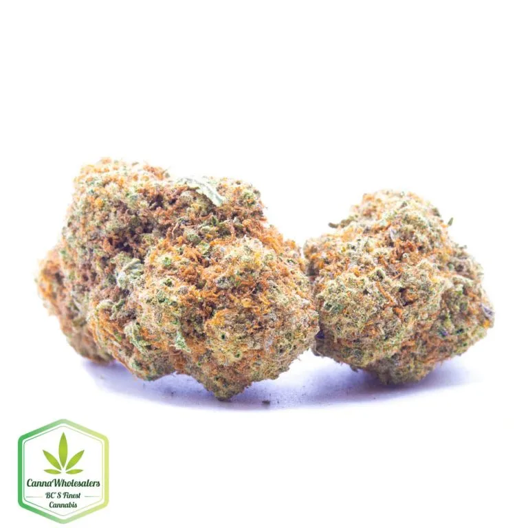 Budget Oz – Peach Oz