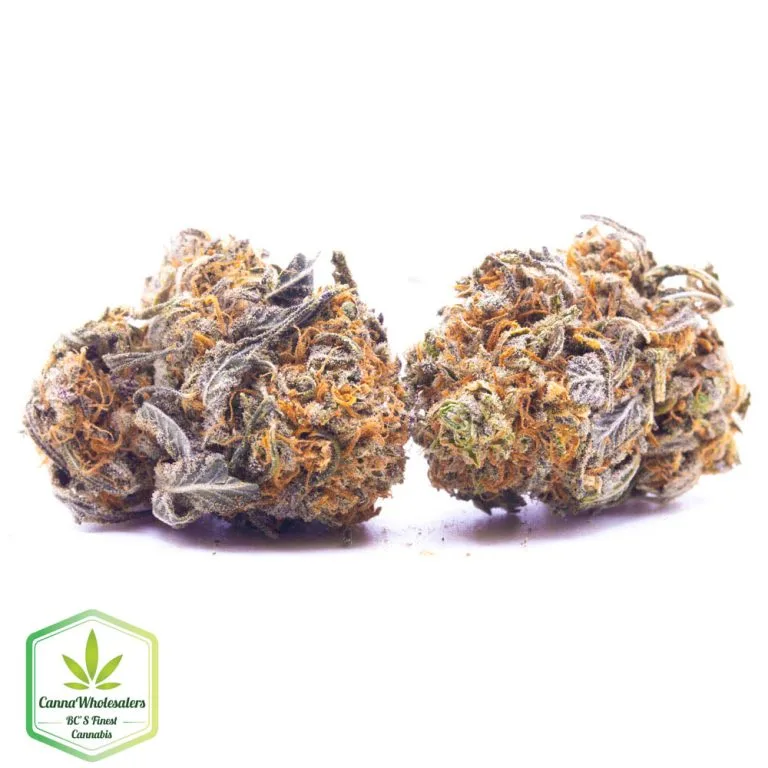 Budget Oz – Blue Power