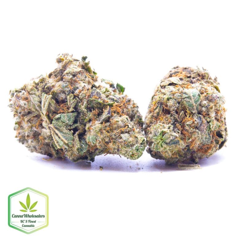 Budget Oz – Deadwood