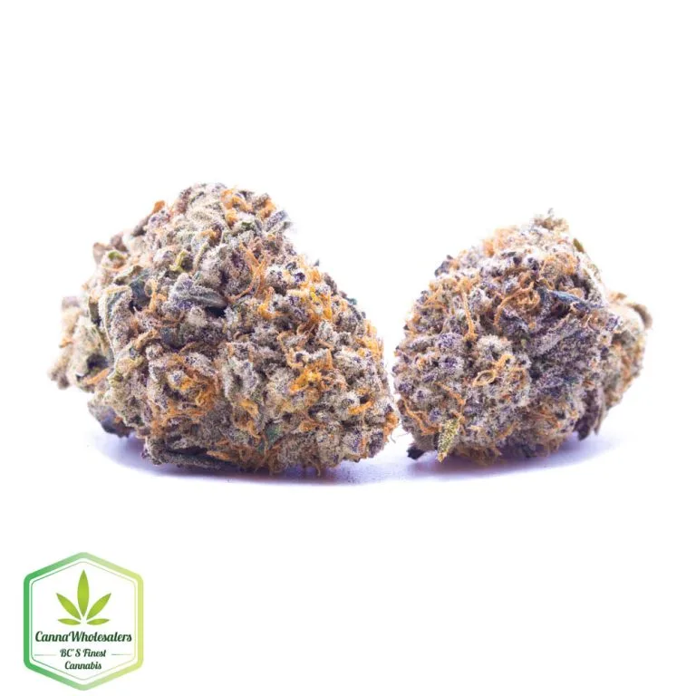 Budget Oz – Tangerine Dream