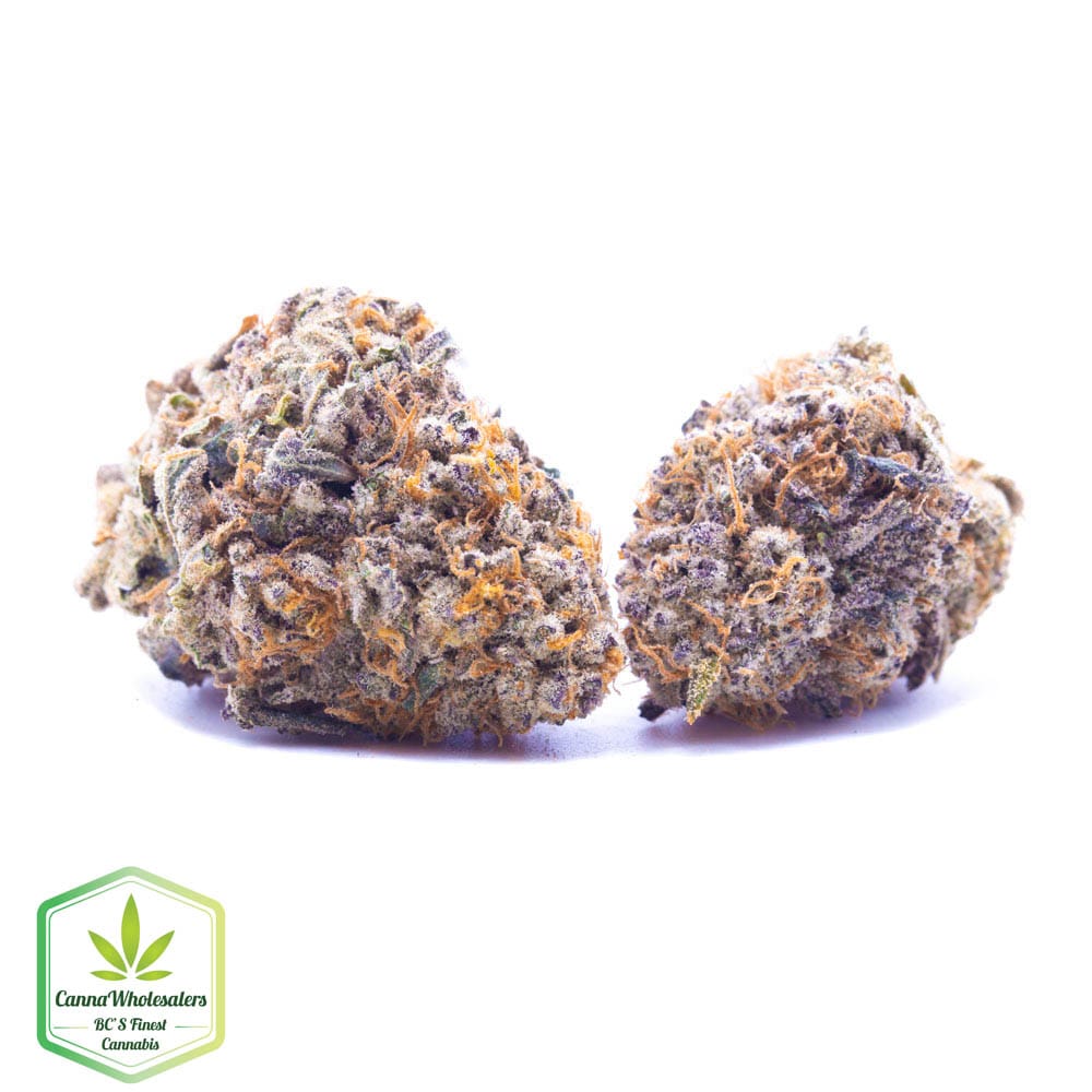 Budget Oz – Tangerine Dream