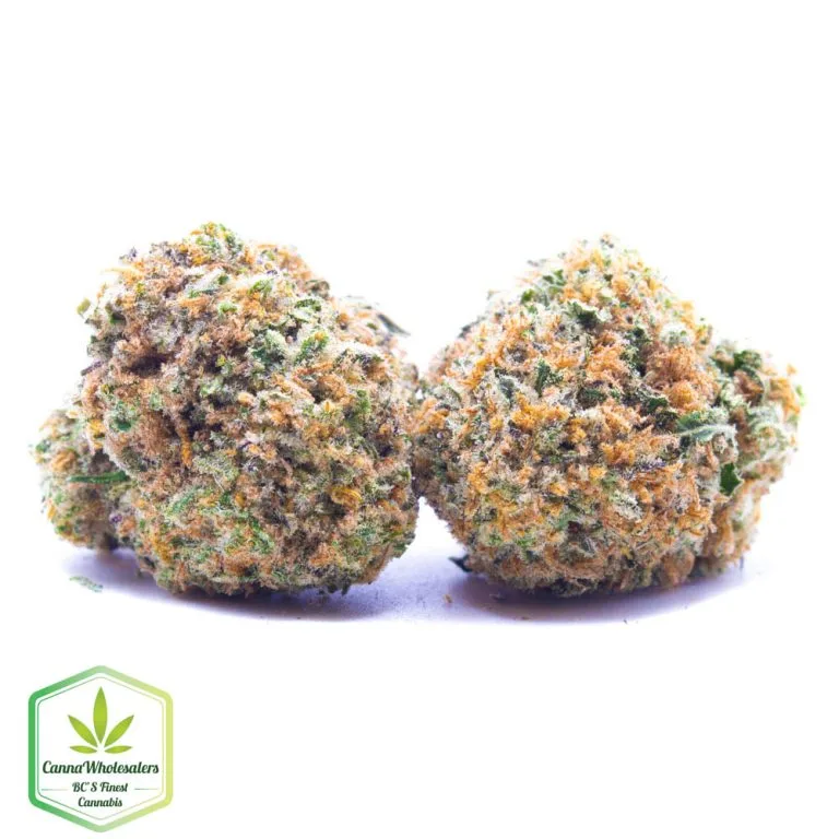 Budget Oz – NY Cheese