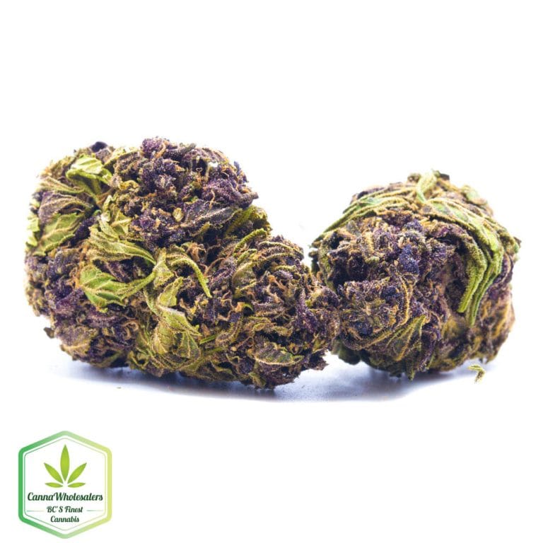 Budget Oz – Dragon’s Breath