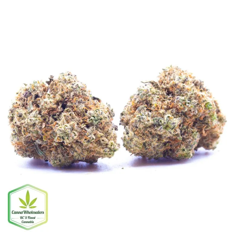 Budget Oz – Cake Bomb