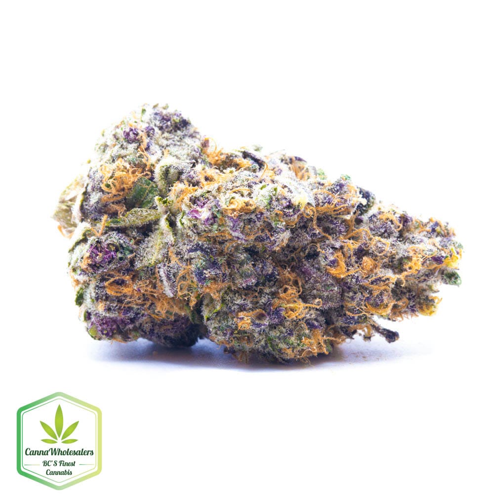 Dolce Gelato – Craft Gardens