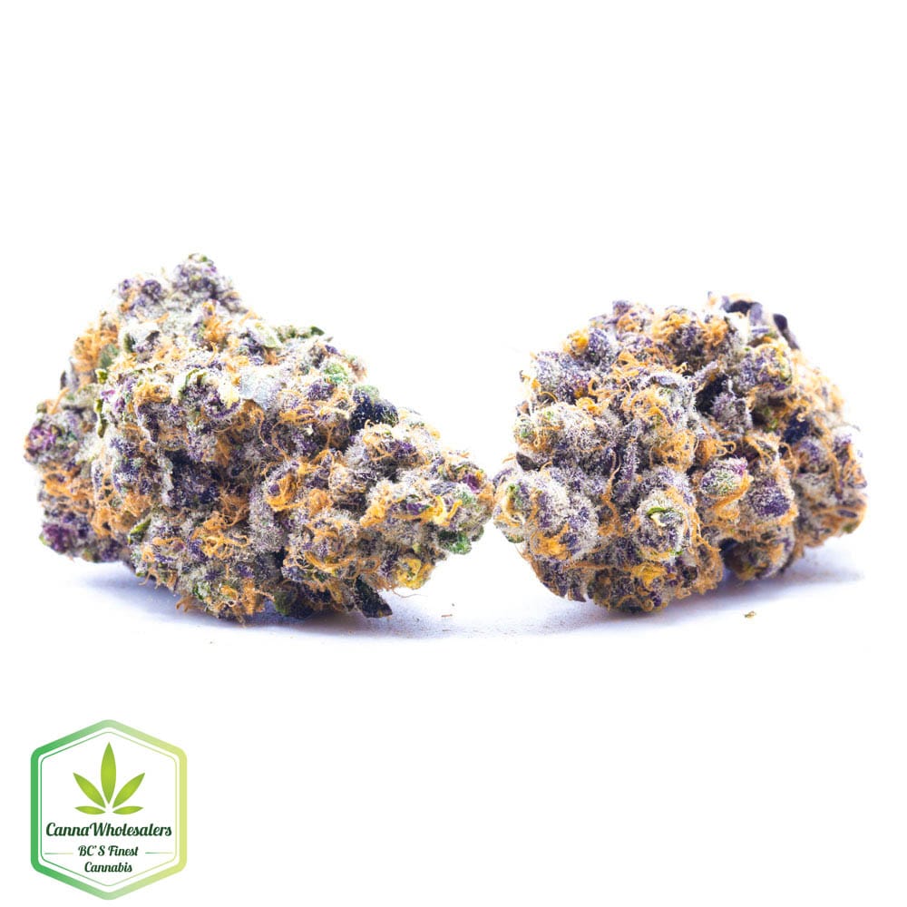 Dolce Gelato – Craft Gardens