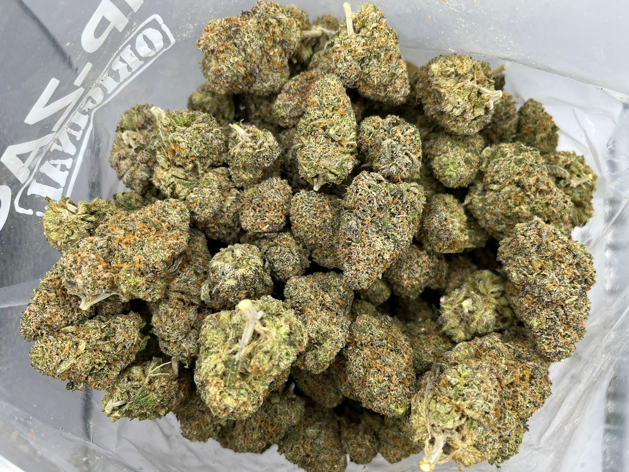 Guava Gelato – Craft Gardens