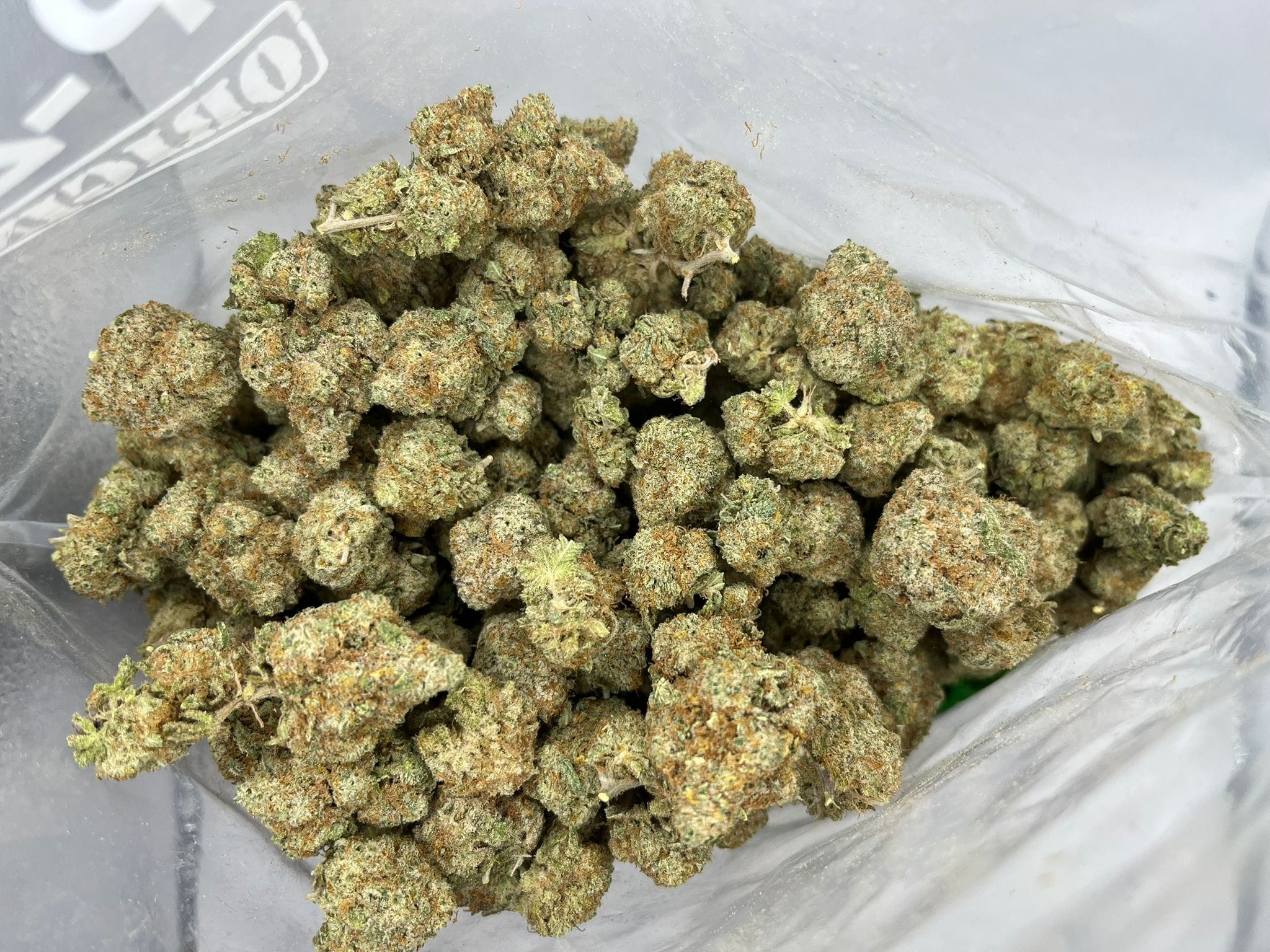 Budget Oz – Sky Master