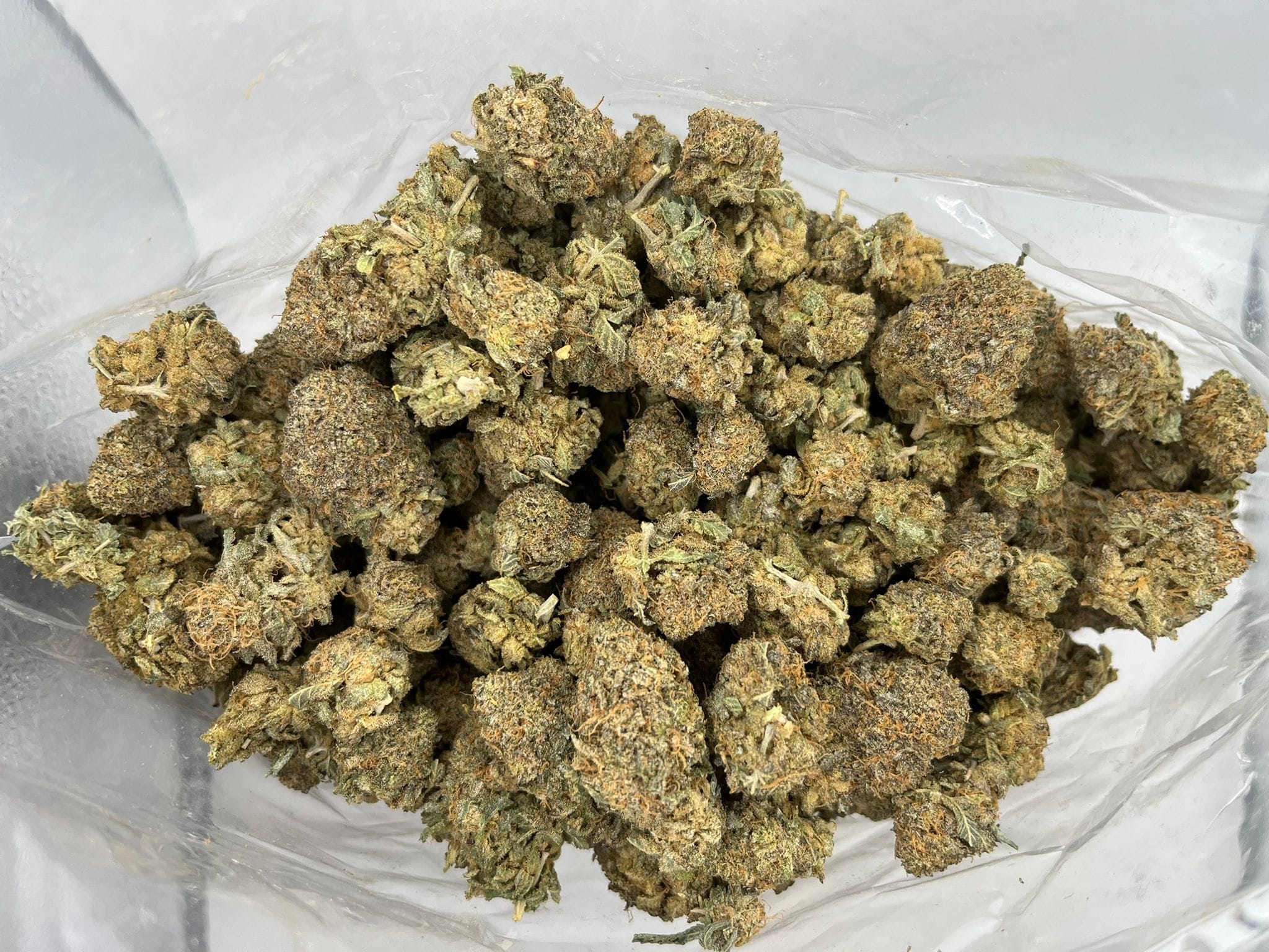 Budget Oz – Diesel Drift