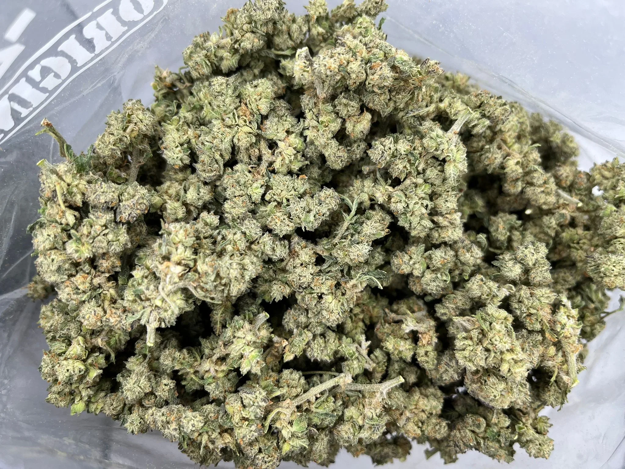 Budget Oz – Citrus Sap