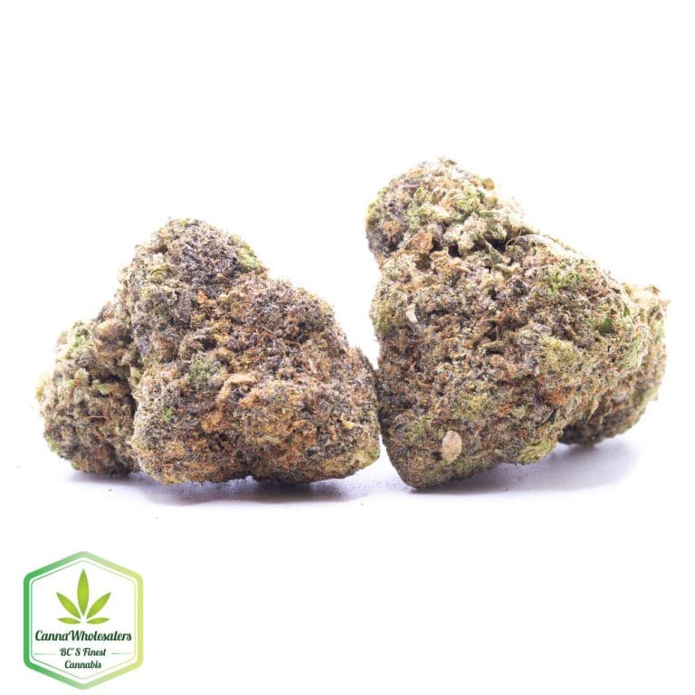 Budget Oz – Bazookies