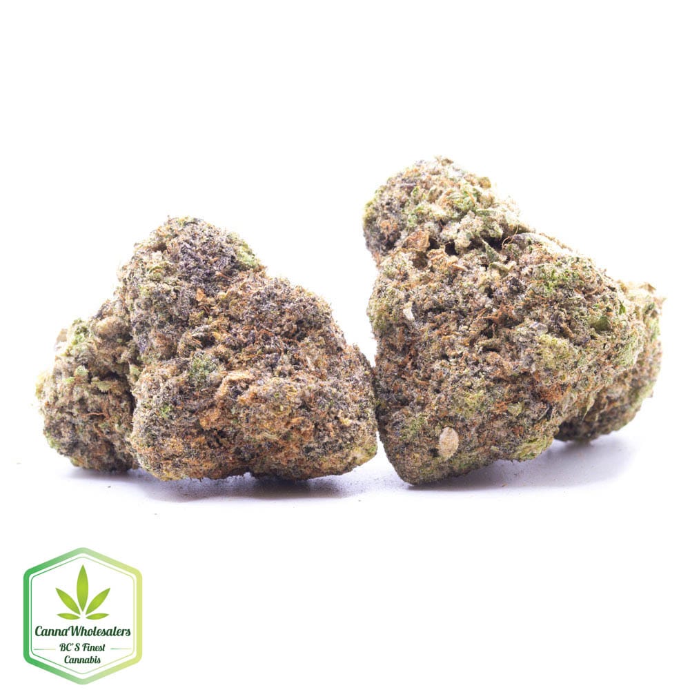 Budget Oz – Bazookies