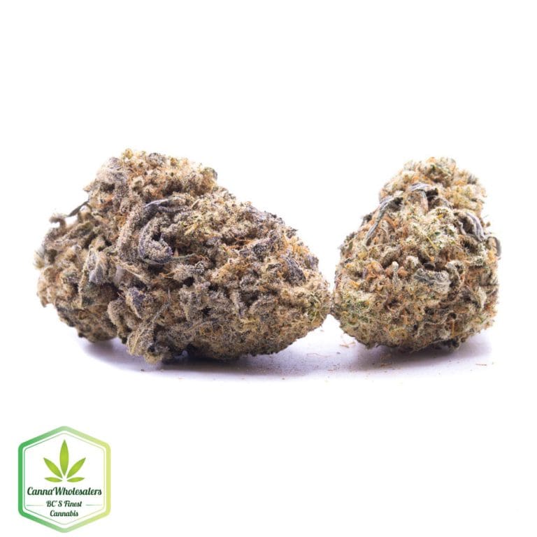 Budget Oz – Dante’s Inferno