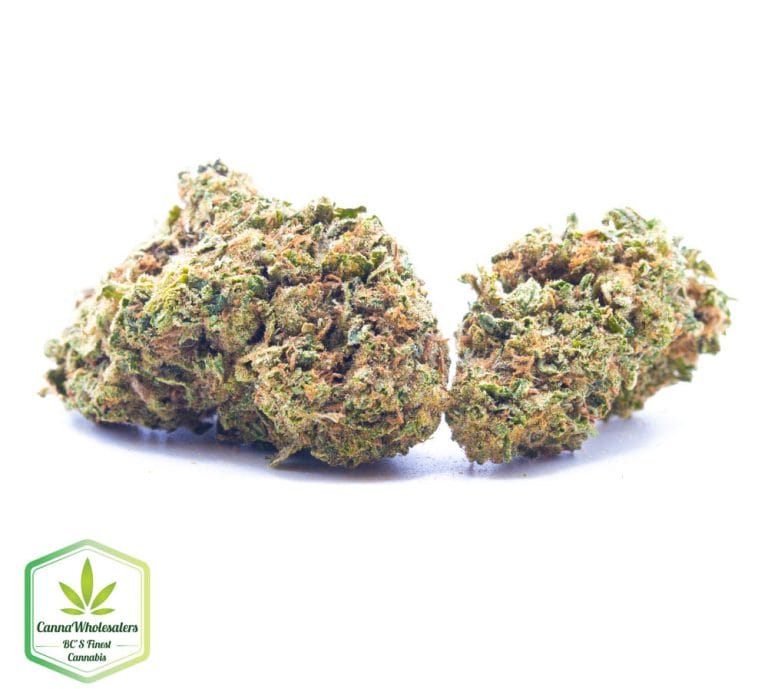 Budget Oz – Sojay Haze