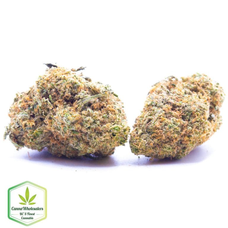 Tropical Runtz – Budget Ounce