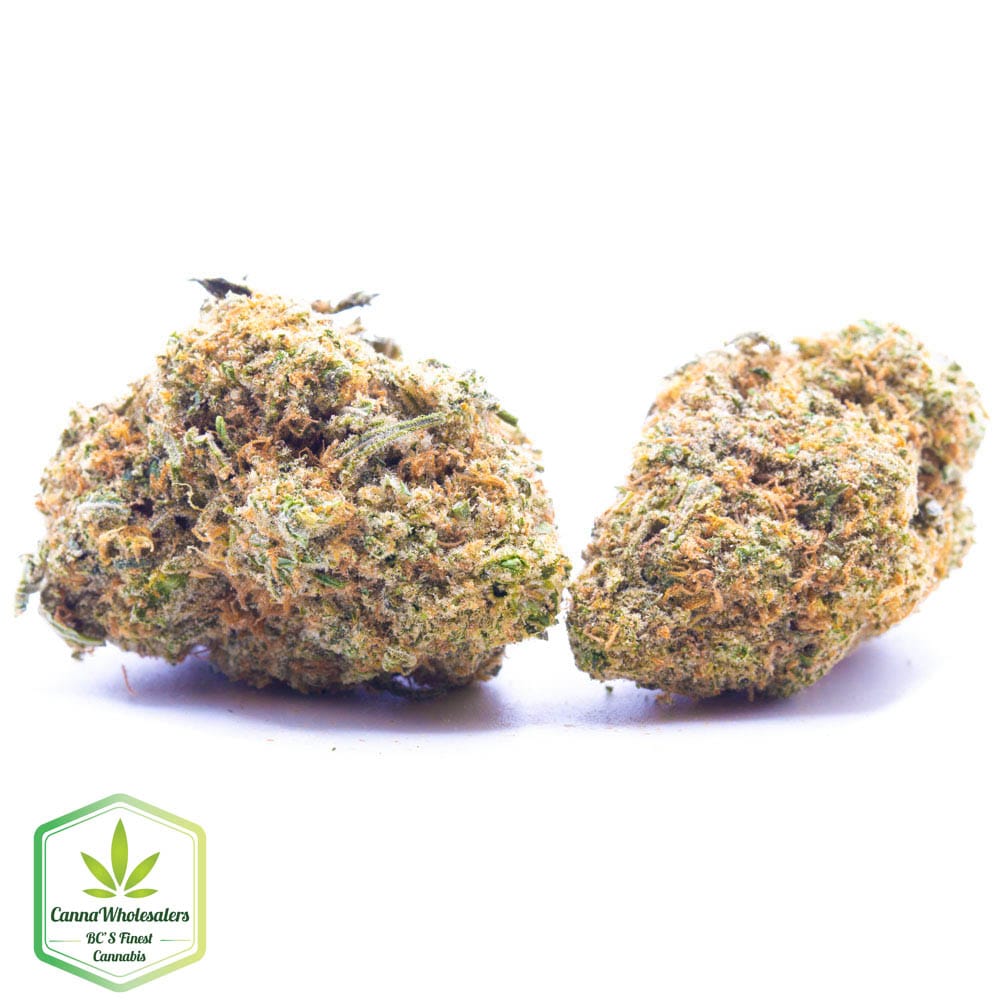 Tropical Runtz – Budget Ounce