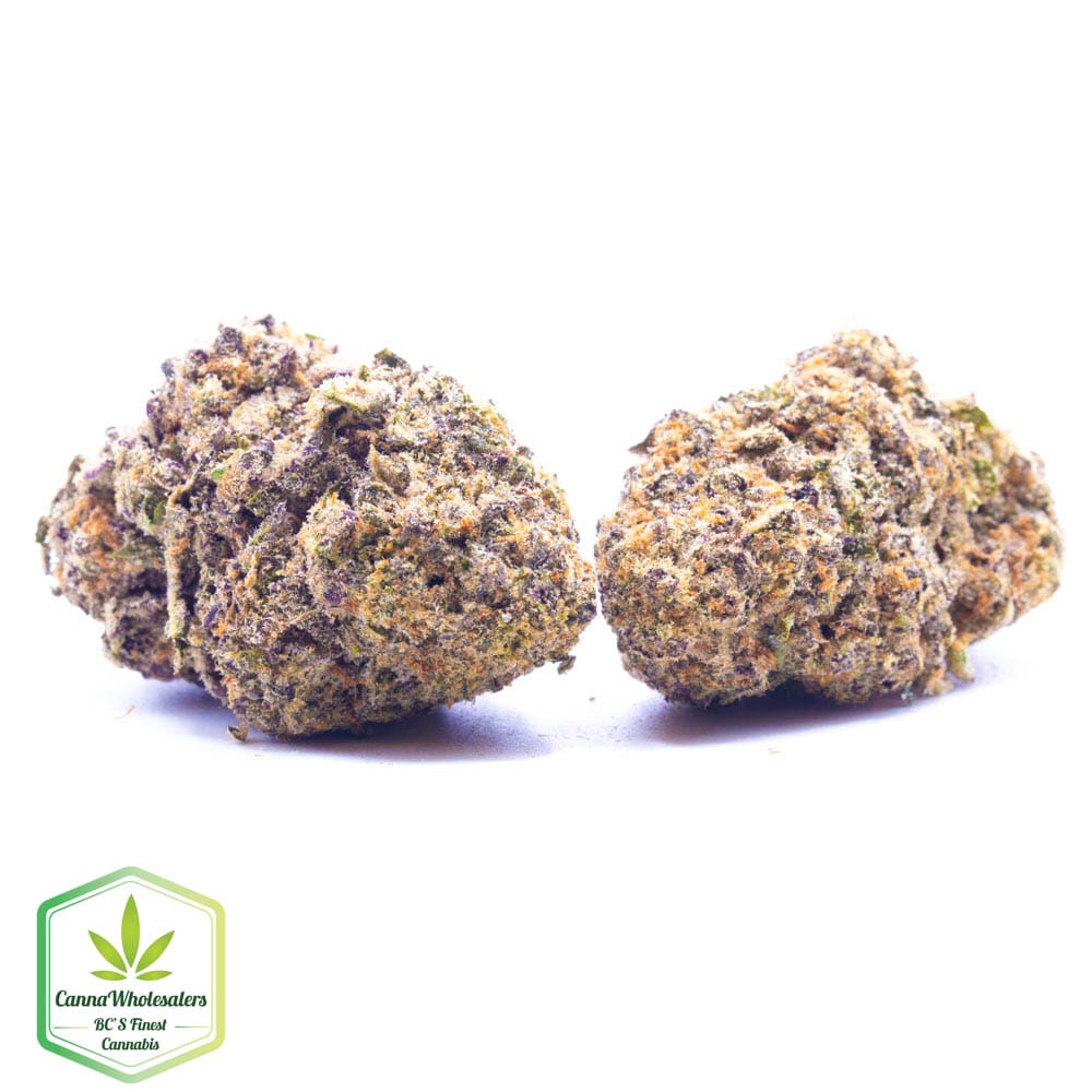 Budget Oz – The Loops