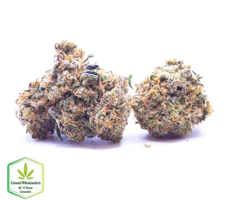 Budget Oz – Strawberry Satori