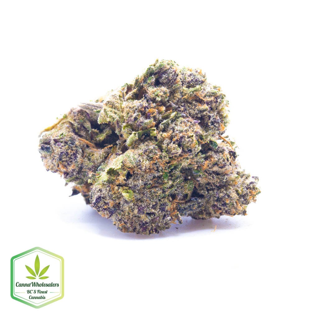 Craft Gardens – Candyland