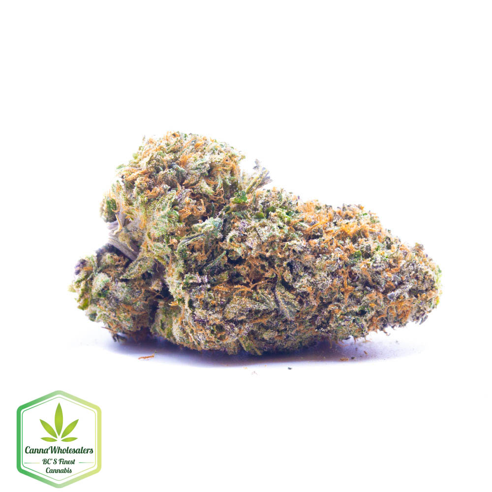 Guava Gelato – Craft Gardens