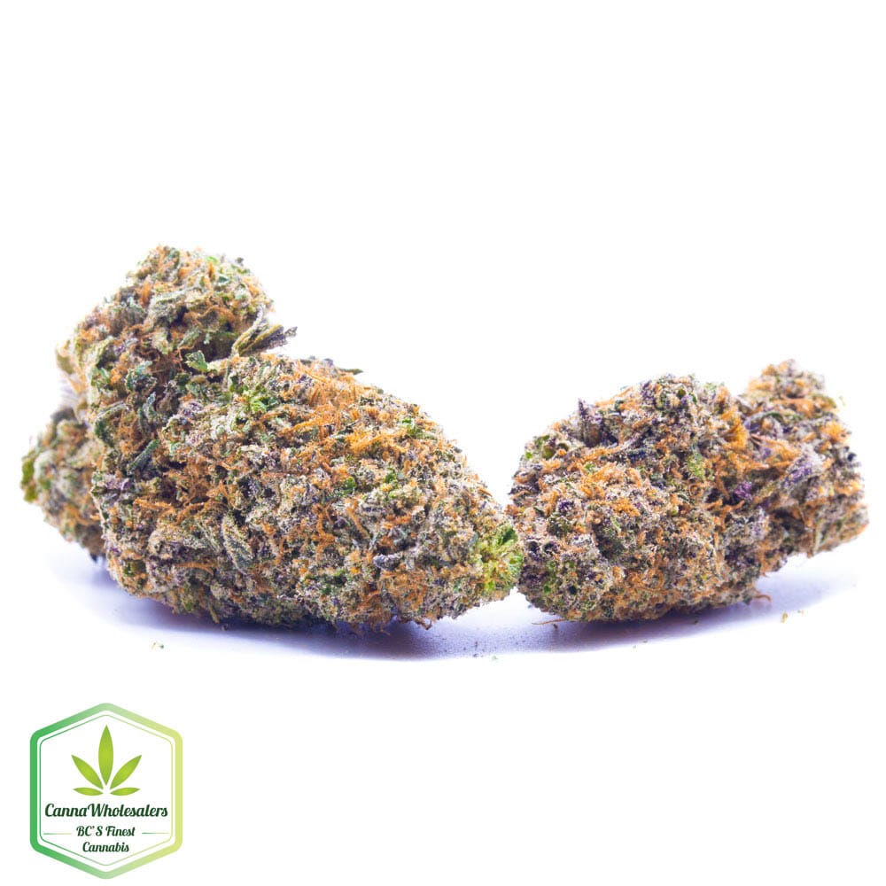 Guava Gelato – Craft Gardens