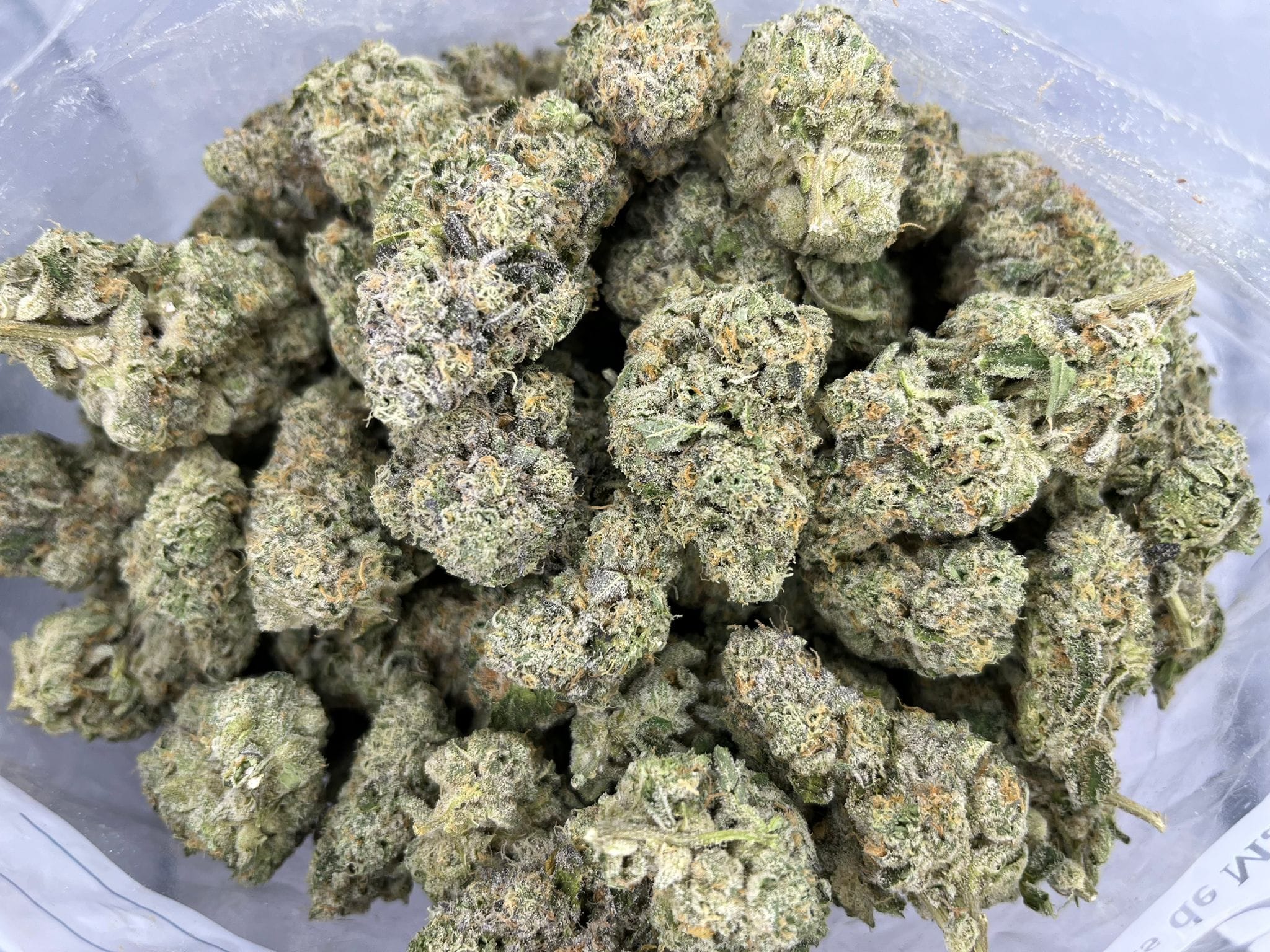 Dolce Gelato – Craft Gardens