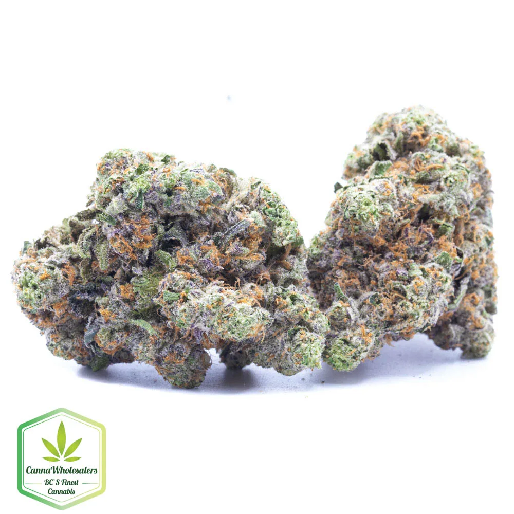 Hightimes Growery – LA Kush Cakes