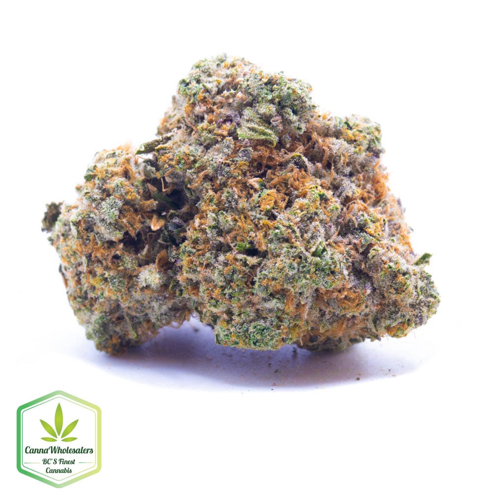Hightimes Growery – TimeWreck