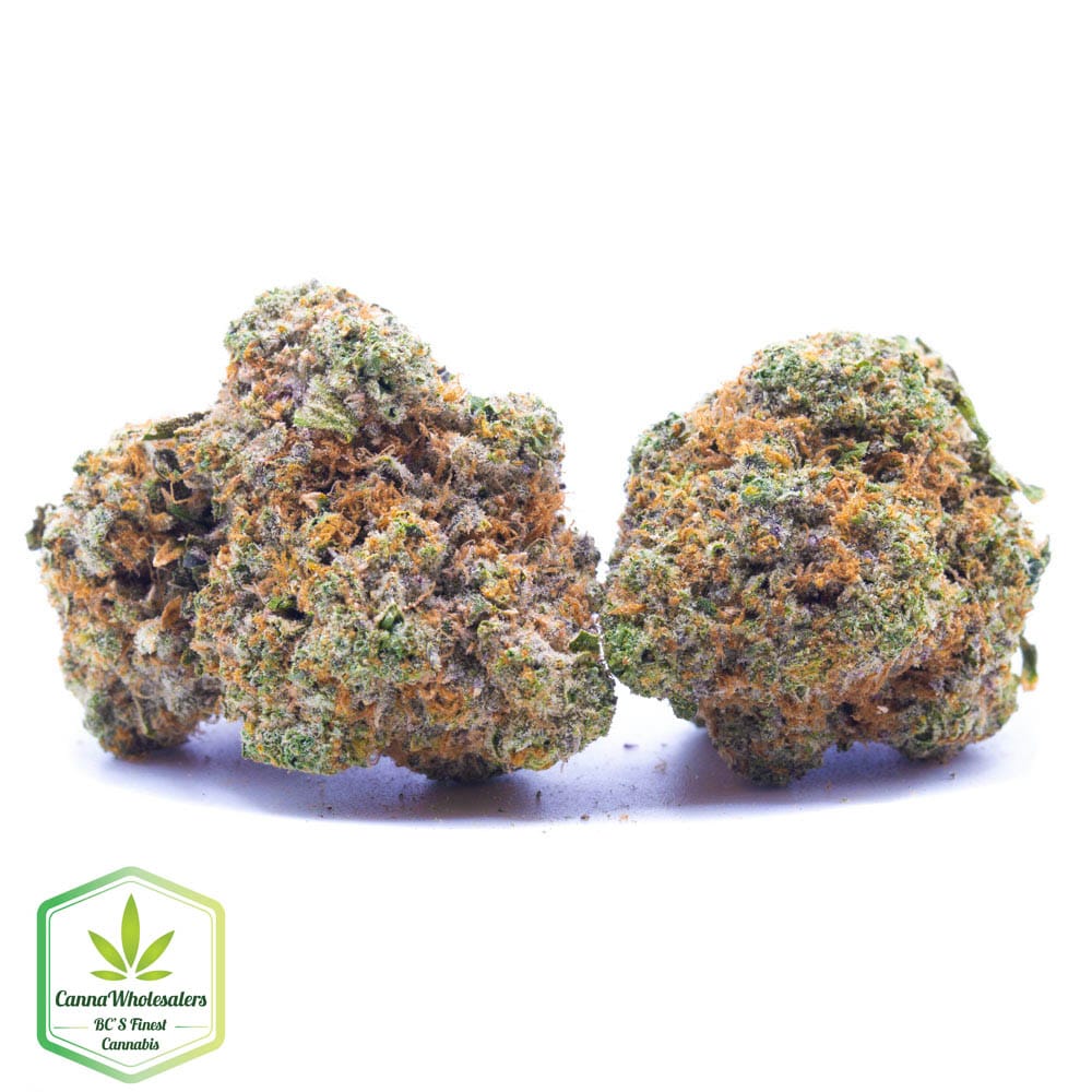 Hightimes Growery – TimeWreck