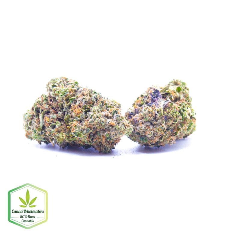 Budget Oz – White 99