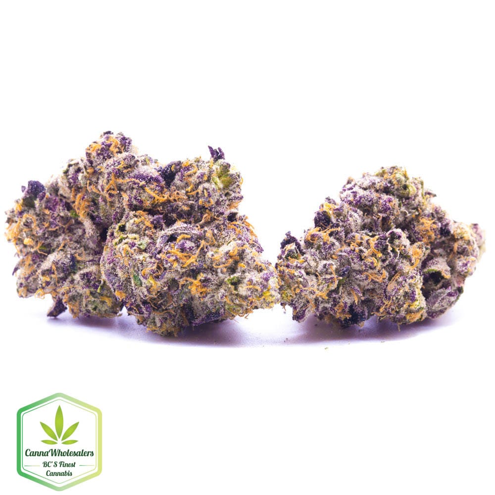 Hightimes Growery – Gobstopper – Budget Ounce
