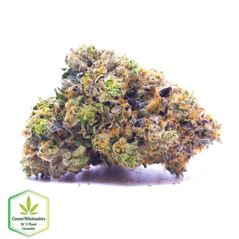 Hightimes Growery – TimeWreck