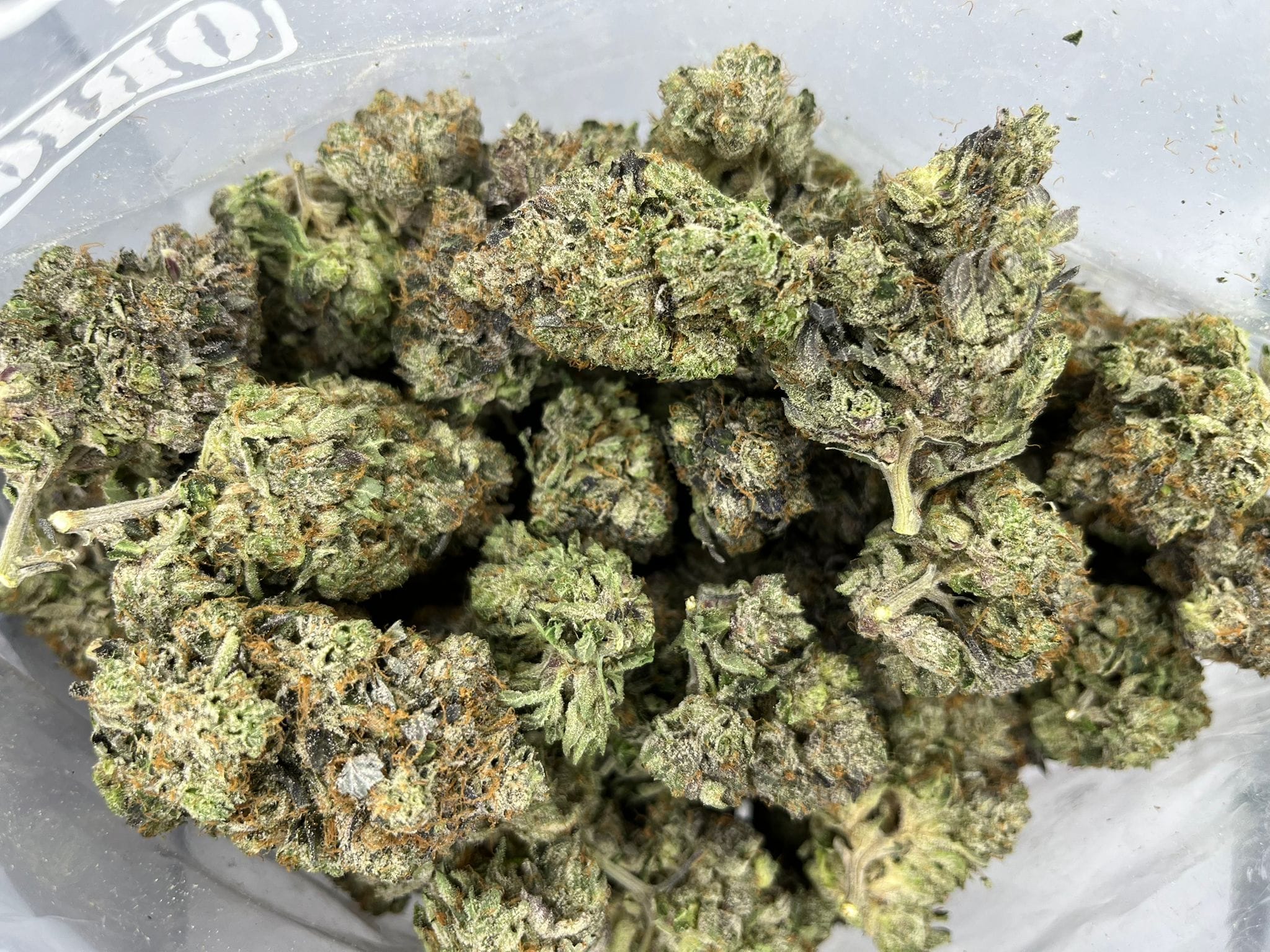 Hightimes Growery – TimeWreck – Budget Ounce