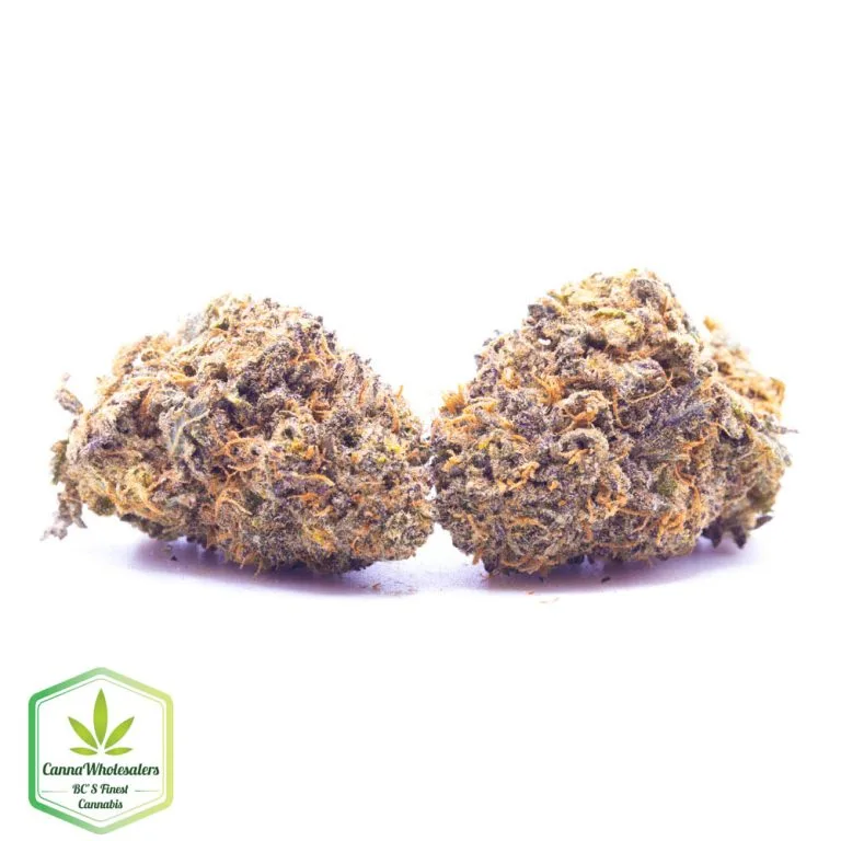 Budget Oz – Diesel Drift