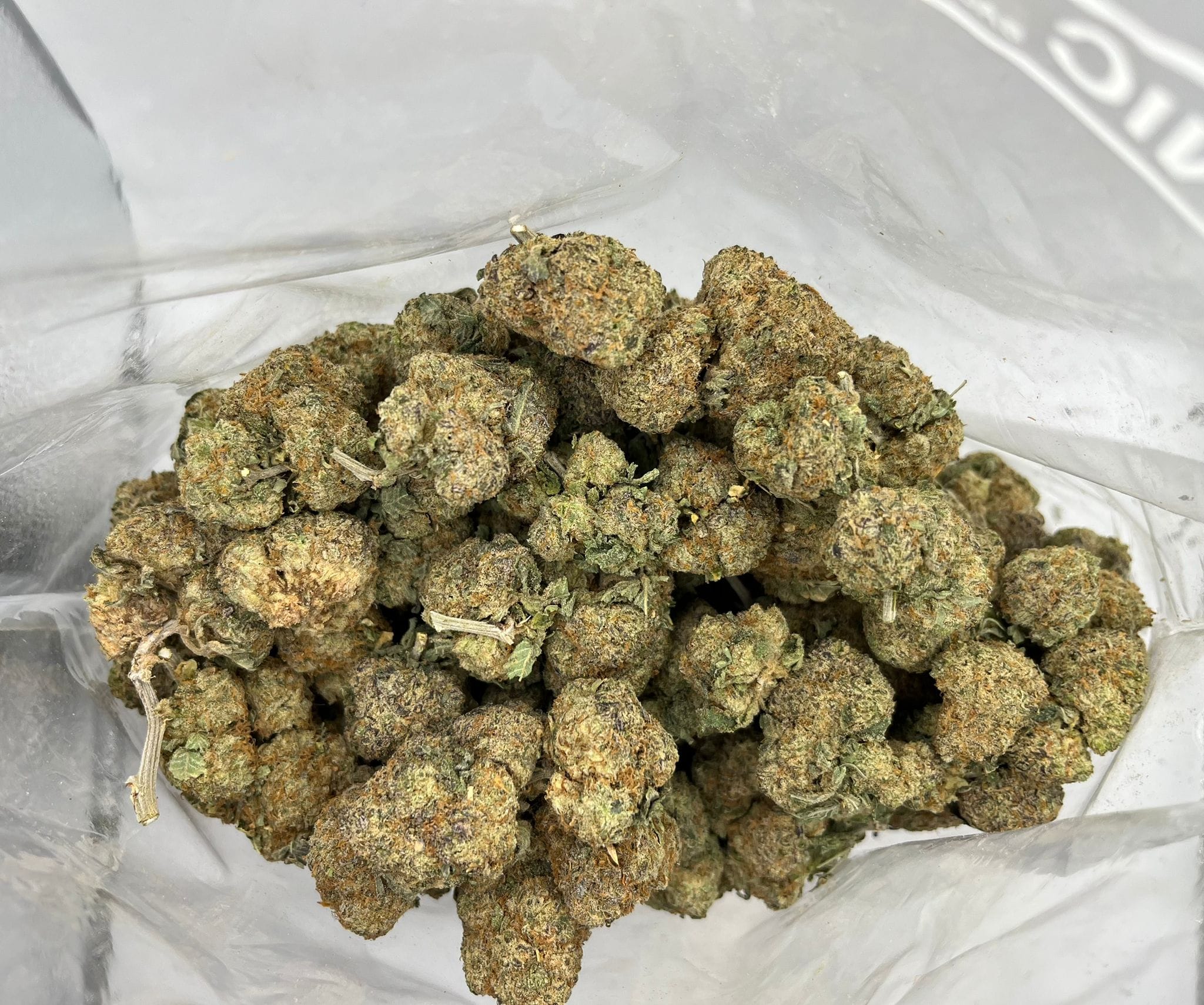Budget Oz – Grapefruit Durban
