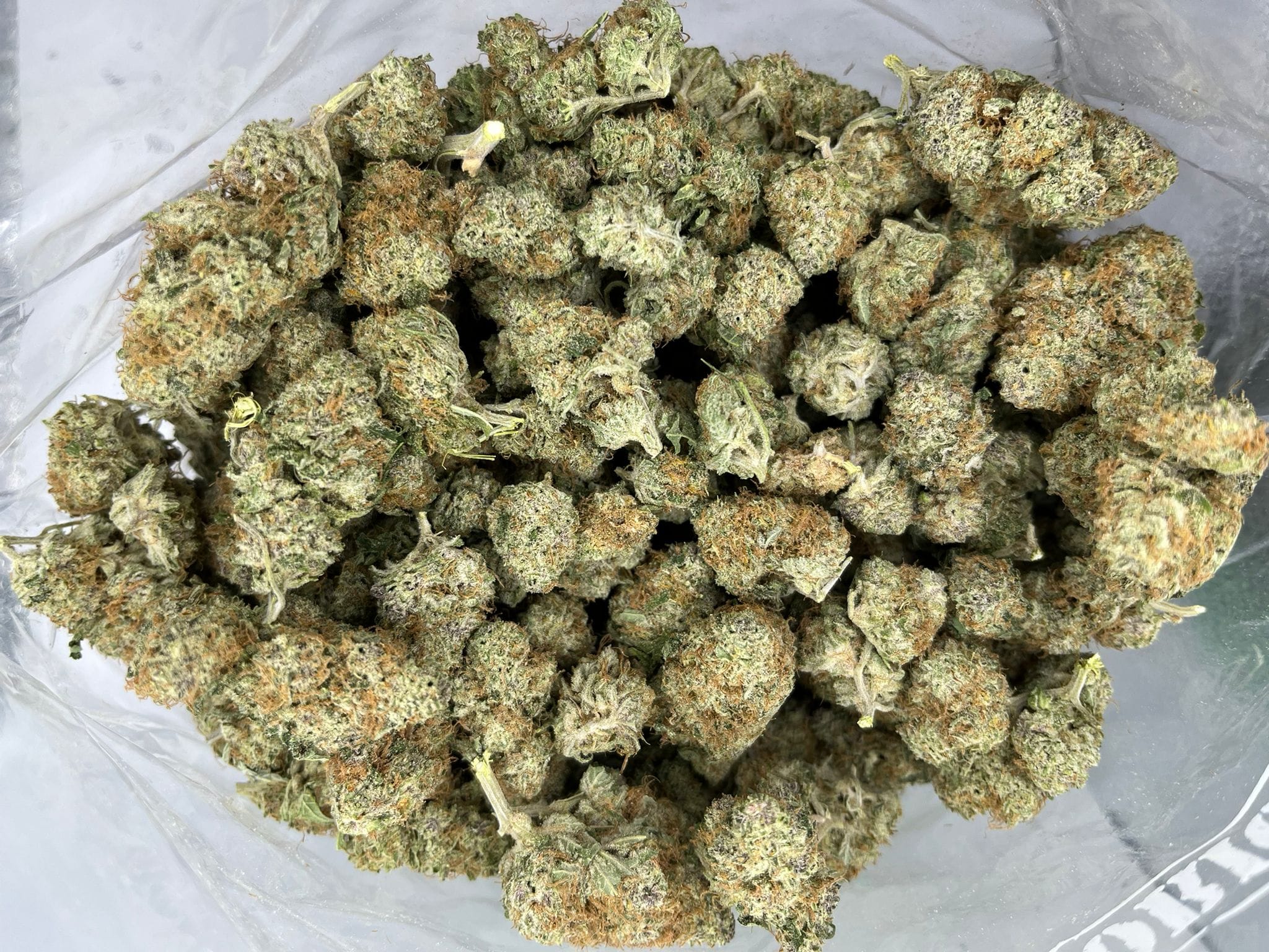 Budget Oz – Cake Bomb