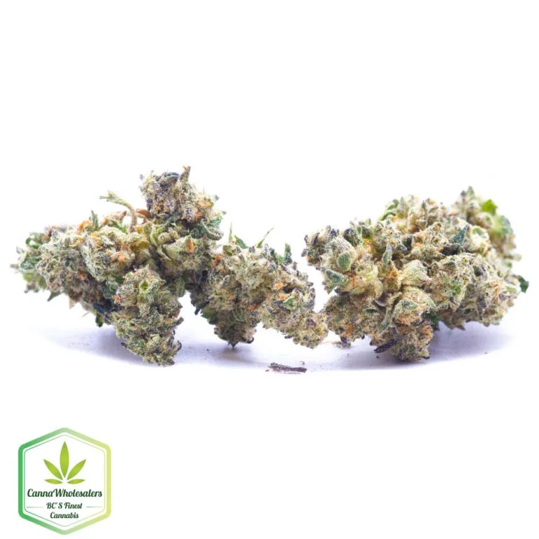 Budget Oz – Citrus Sap