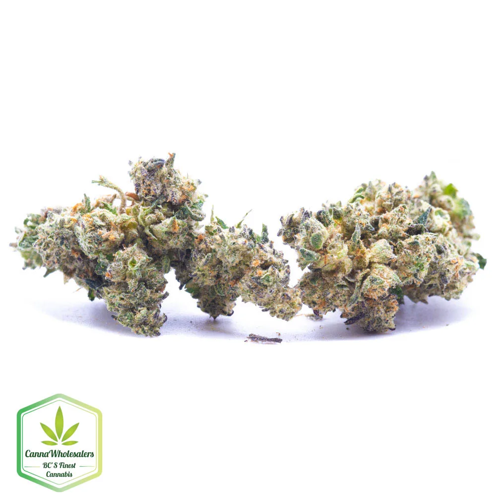 Budget Oz – Citrus Sap