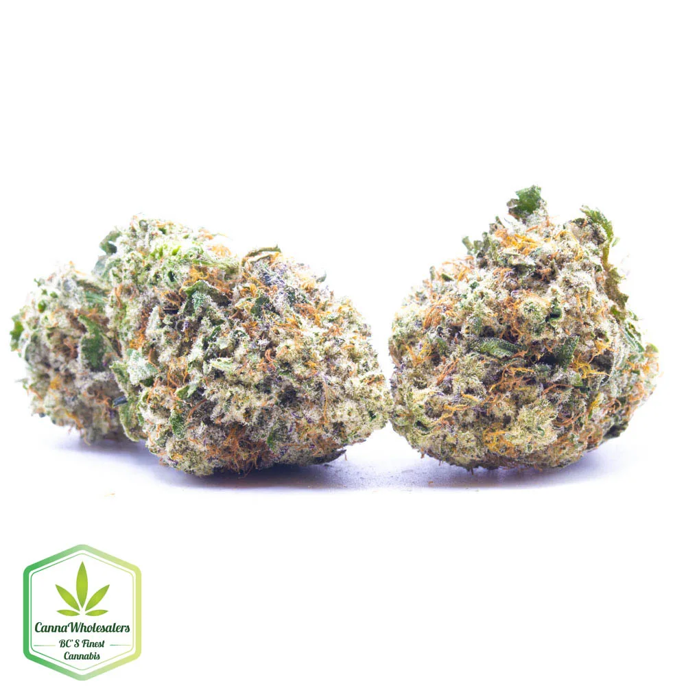 Budget Oz – Blackberry Diesel