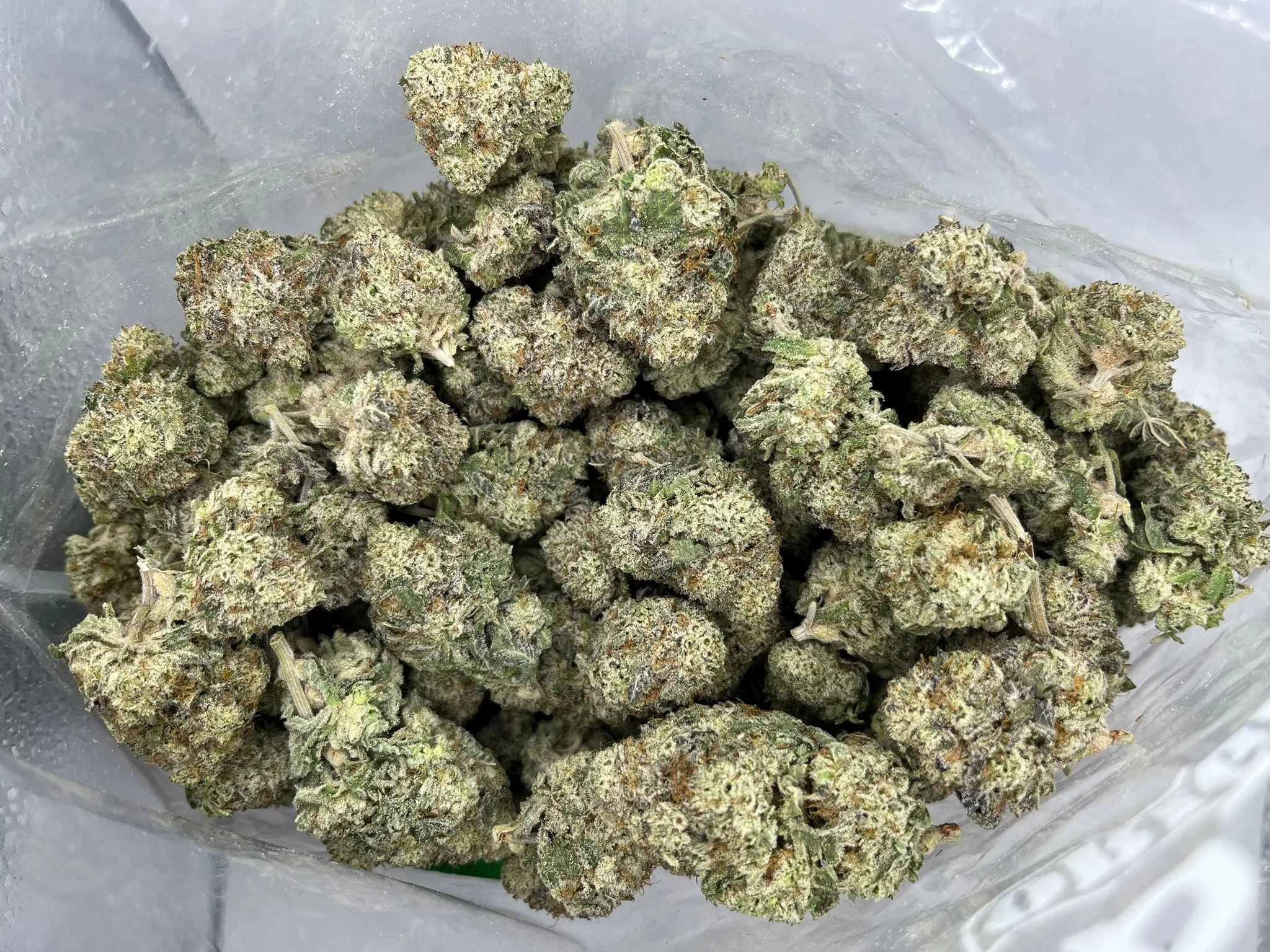 Budget Oz – Blackberry Diesel