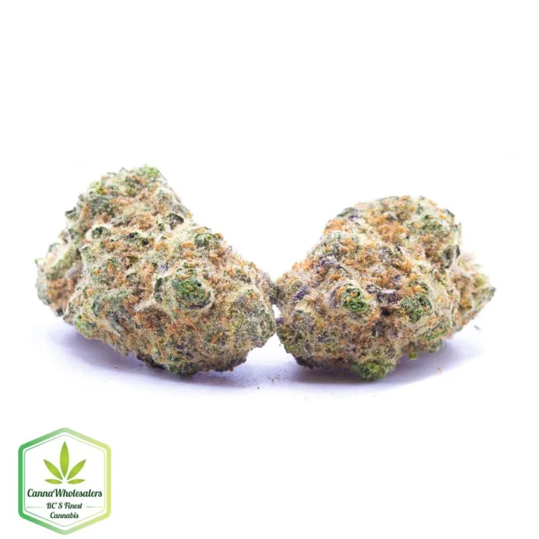 Budget Oz – Tropical Truffle