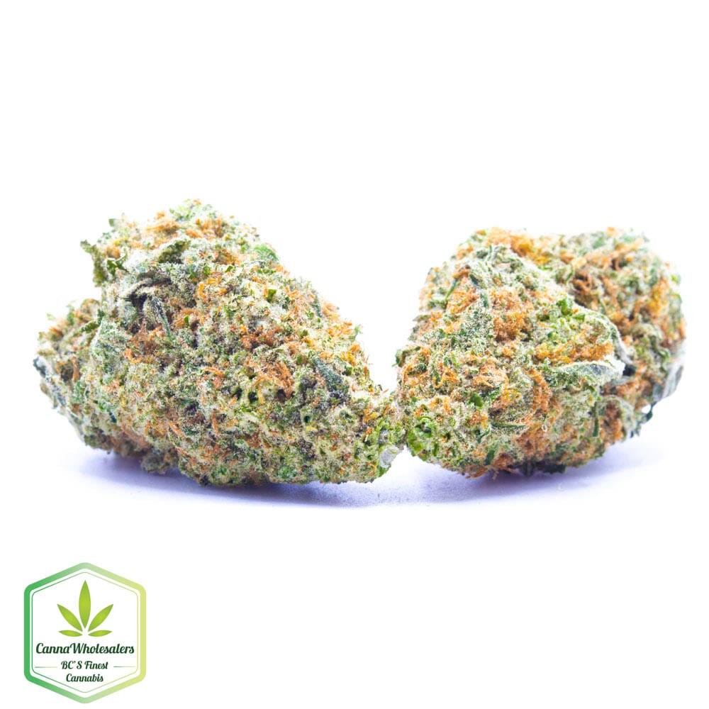 Cannawholesalers – Girl Scout Cookies