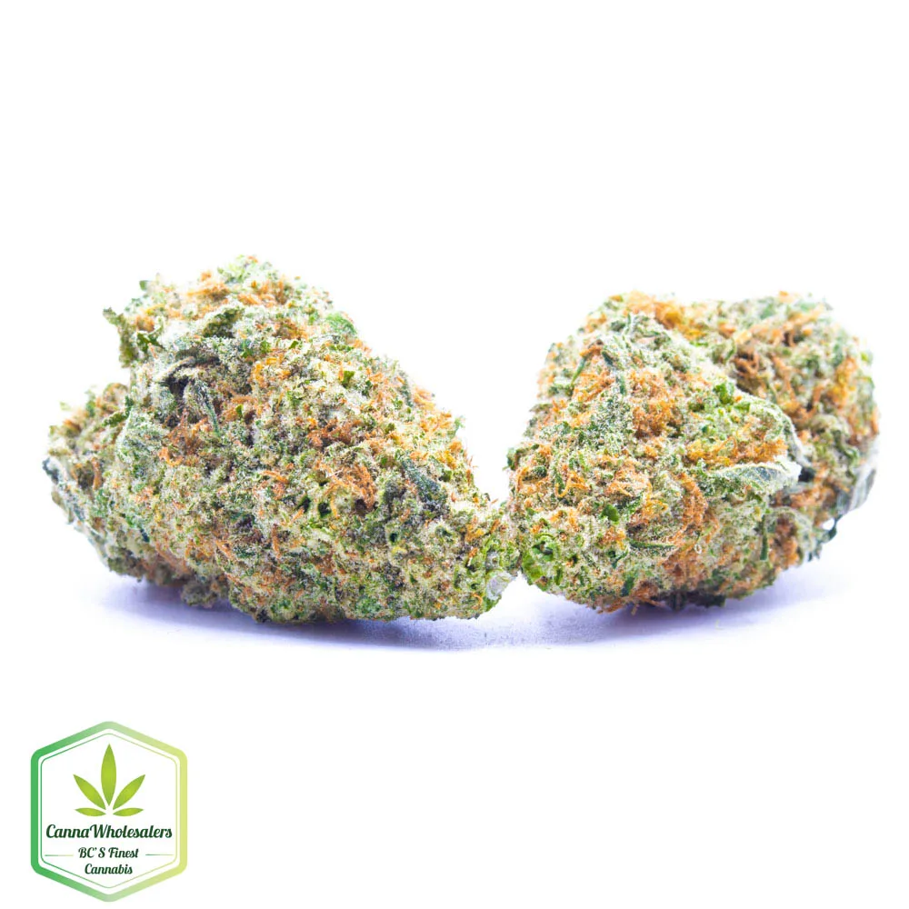 Budget Oz – Cannawholesalers – Girl Scout Cookies