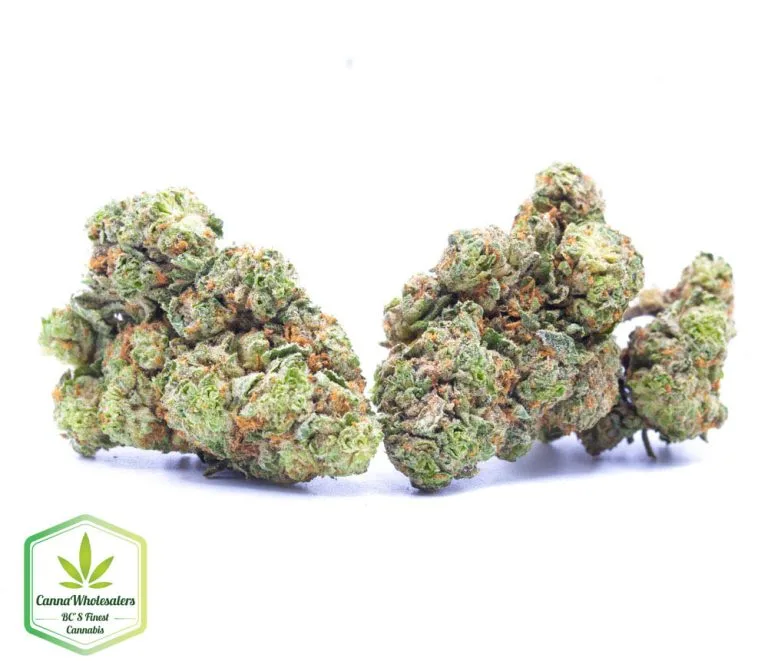 Budget Oz – Mango Dream