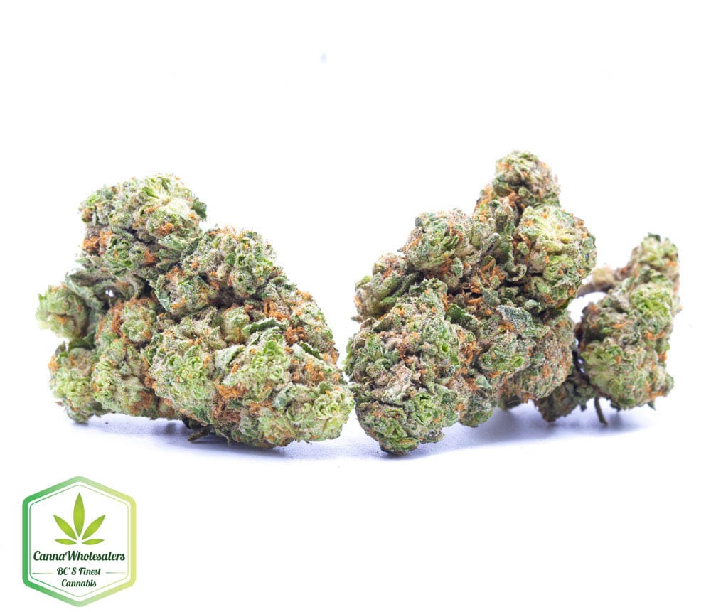 Budget Oz – Mango Dream