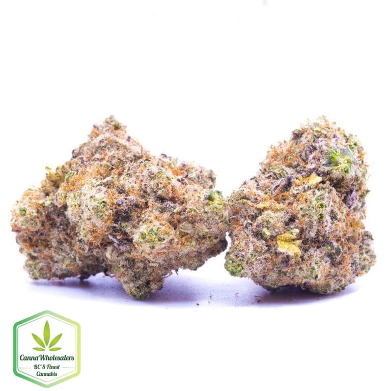 Budget Oz – Alien Technology