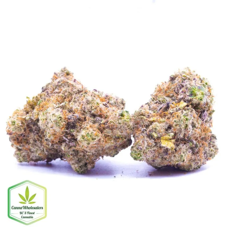 Budget Oz – Alien Technology